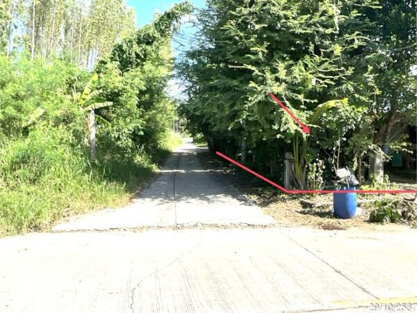 02 Single House _photo
