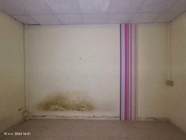 03 Townhouse _photo