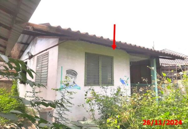 02 Single House _photo