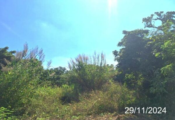 01 Land is empty. _photo
