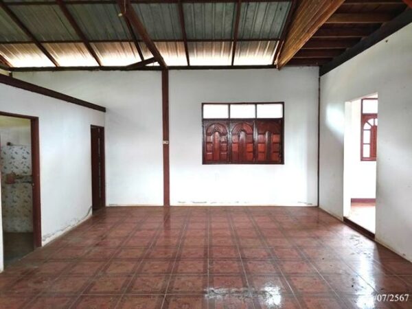 02 Single House _photo