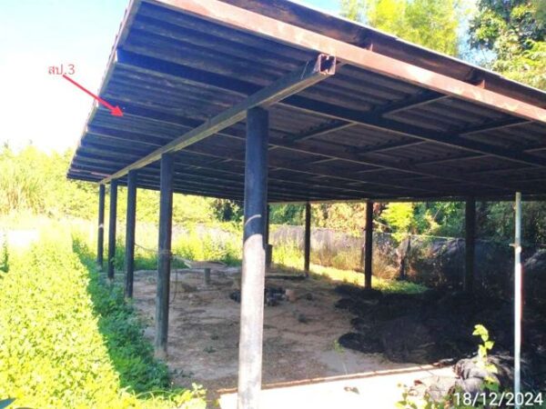 02 Single House _photo