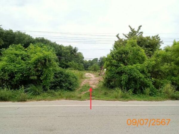 01 Land is empty. _photo
