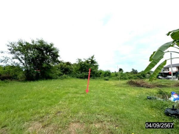 01 Land is empty. _photo
