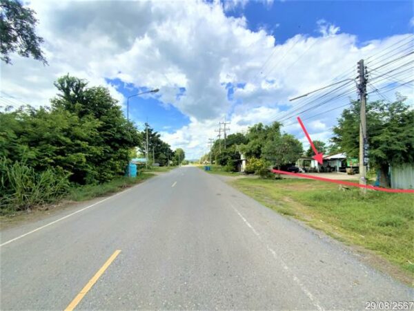02 Single House _photo
