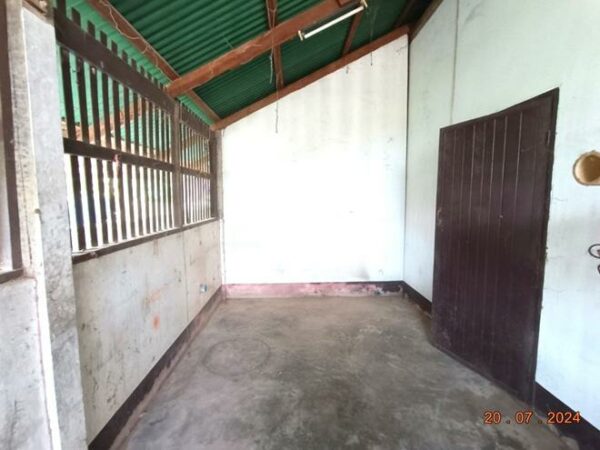02 Single House _photo