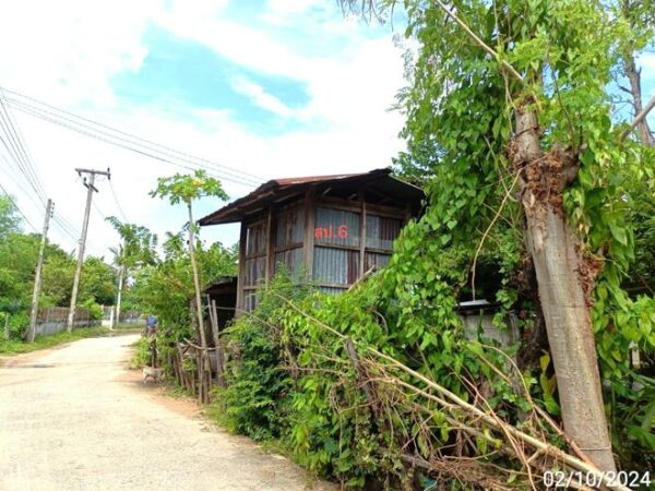 02 Single House _photo