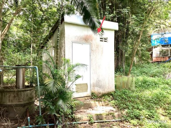 02 Single House _photo