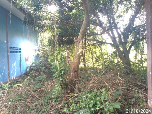 02 Single House _photo