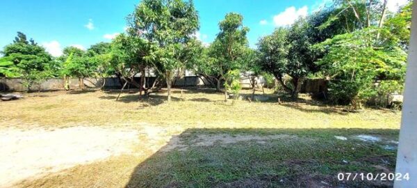 26 multi -purpose sheds _photo