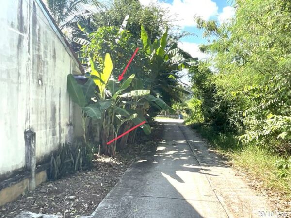 02 Single House _photo