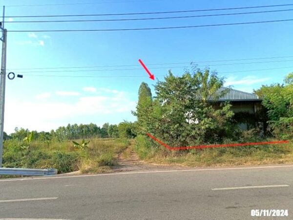02 Single House _photo