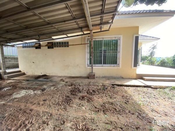 02 Single House _photo