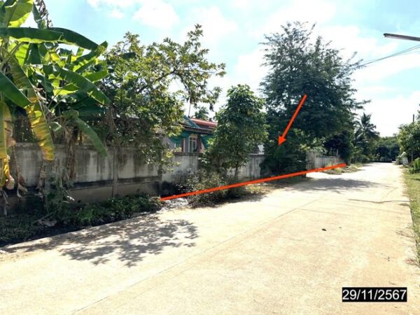 02 Single House _photo