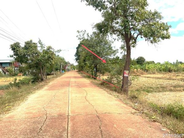 01 Land is empty. _photo
