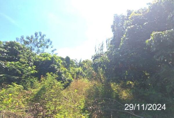 01 Land is empty. _photo