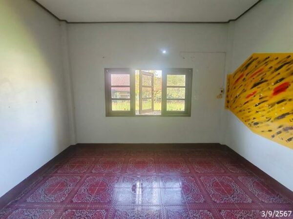 02 Single House _photo