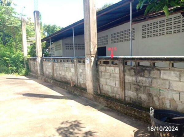 02 Single House _photo