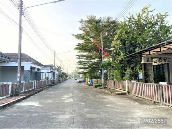 02 Single House _photo