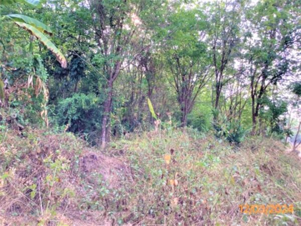01 Land is empty. _photo