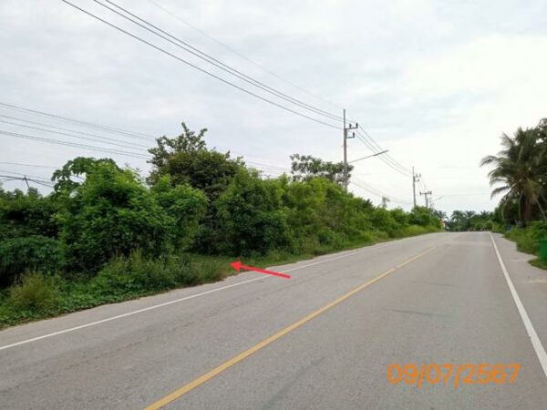 01 Land is empty. _photo