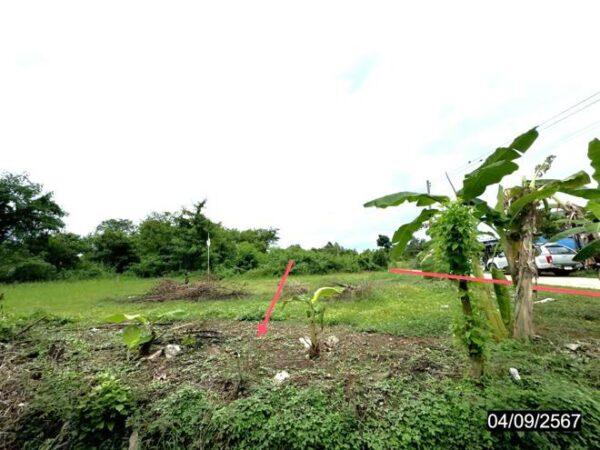 01 Land is empty. _photo
