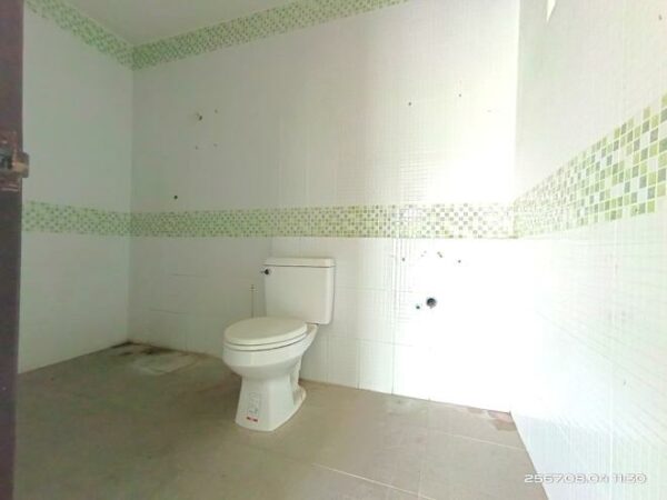 02 Single House _photo