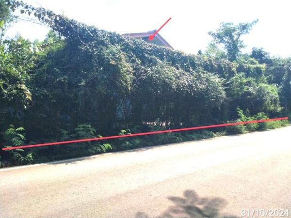 02 Single House _photo