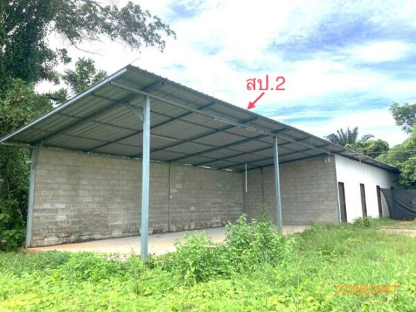 02 Single House _photo