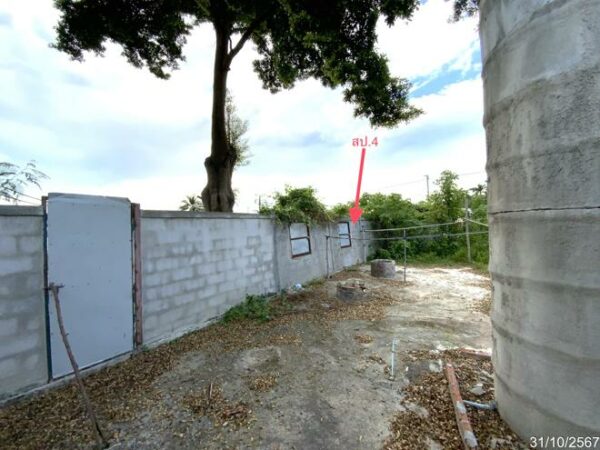 02 Single House _photo
