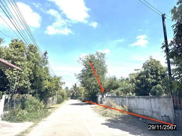 02 Single House _photo