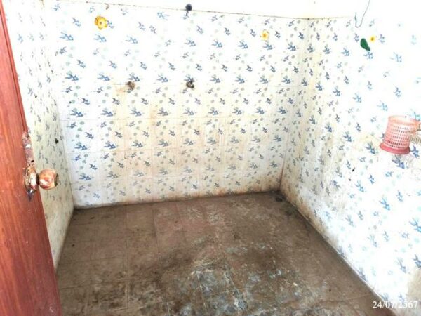 02 Single House _photo