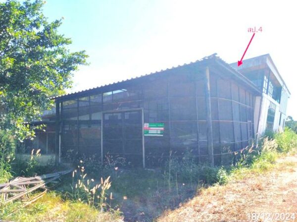 02 Single House _photo
