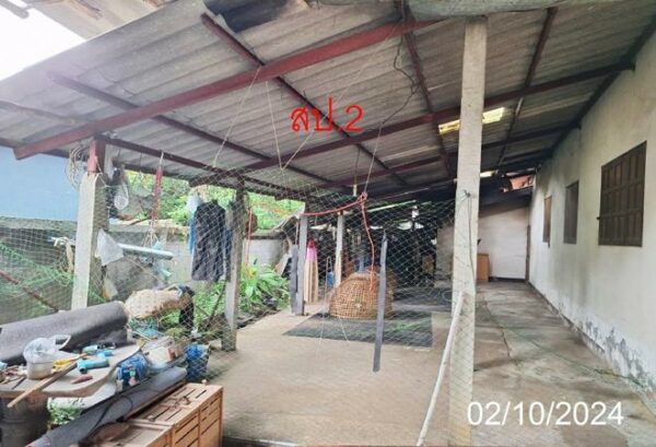 02 Single House _photo