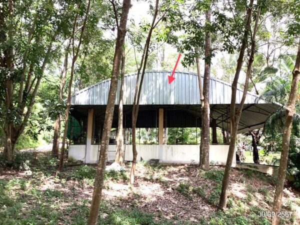 02 Single House _photo