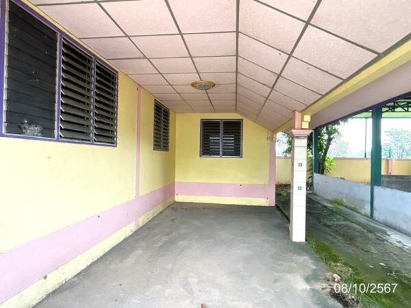 02 Single House _photo