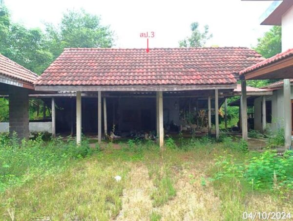 02 Single House _photo