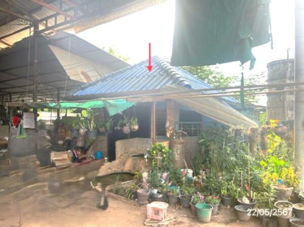 02 Single House _photo