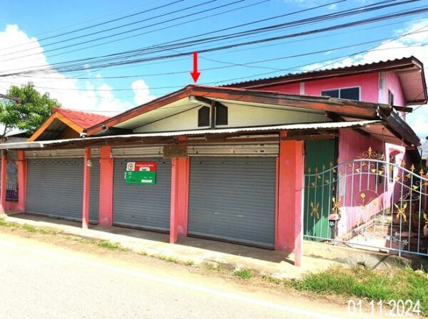 02 Single House _photo