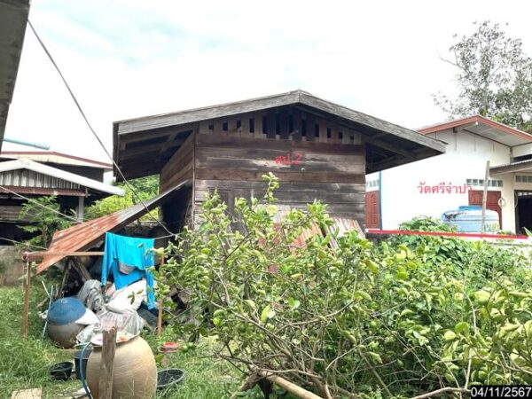02 Single House _photo