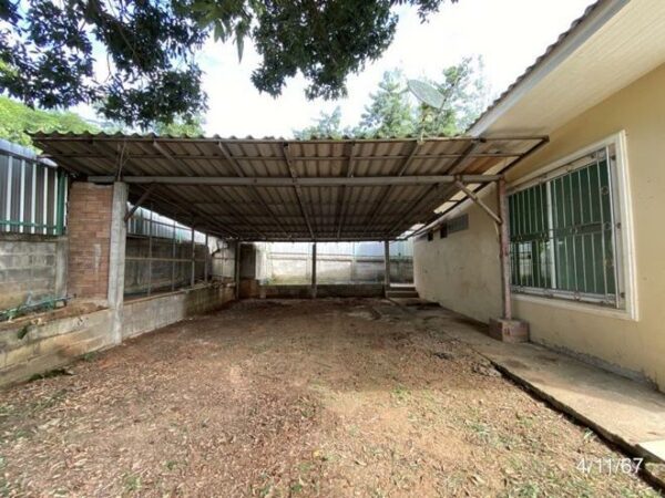 02 Single House _photo