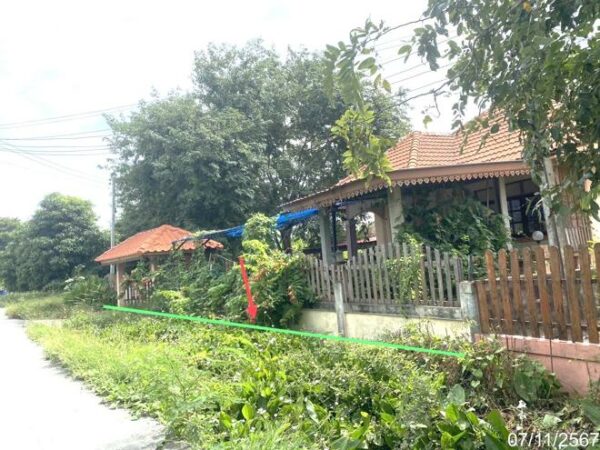 02 Single House _photo