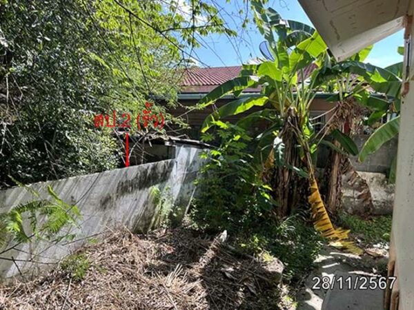 02 Single House _photo