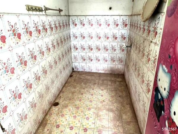 02 Single House _photo