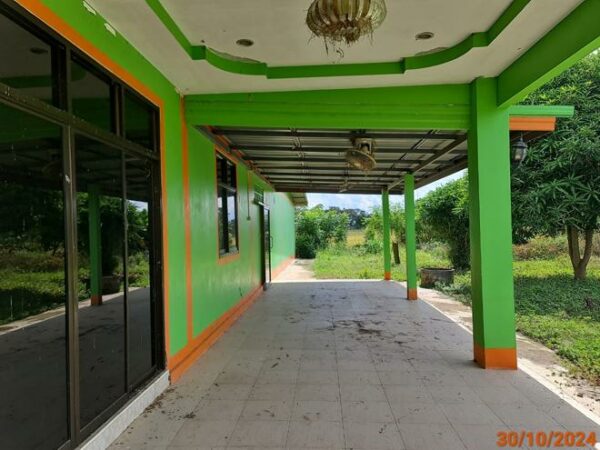 02 Single House _photo