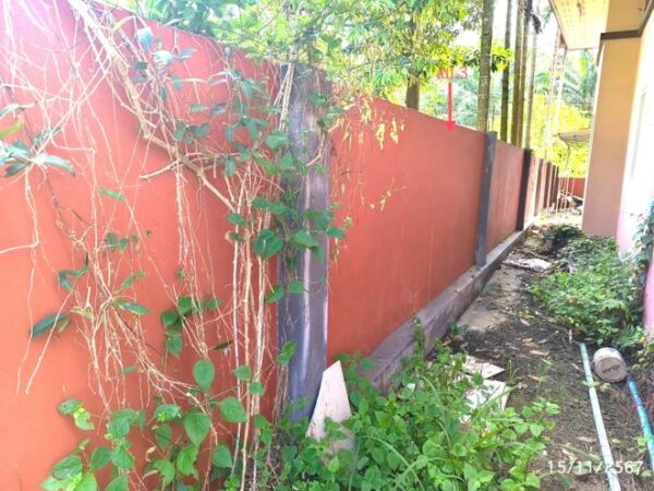 02 Single House _photo