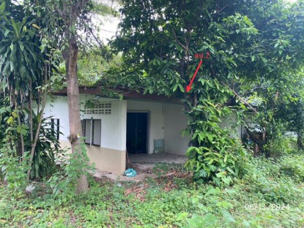 02 Single House _photo