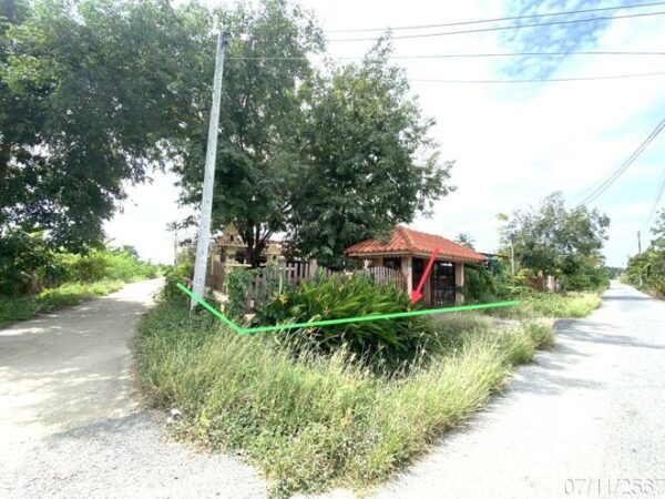 02 Single House _photo