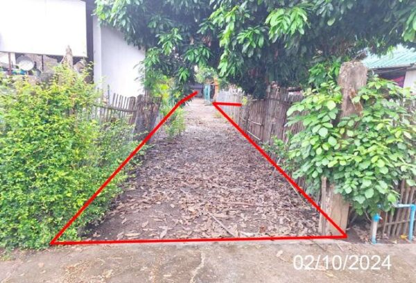 02 Single House _photo