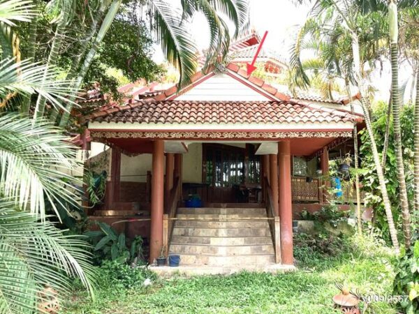 02 Single House _photo
